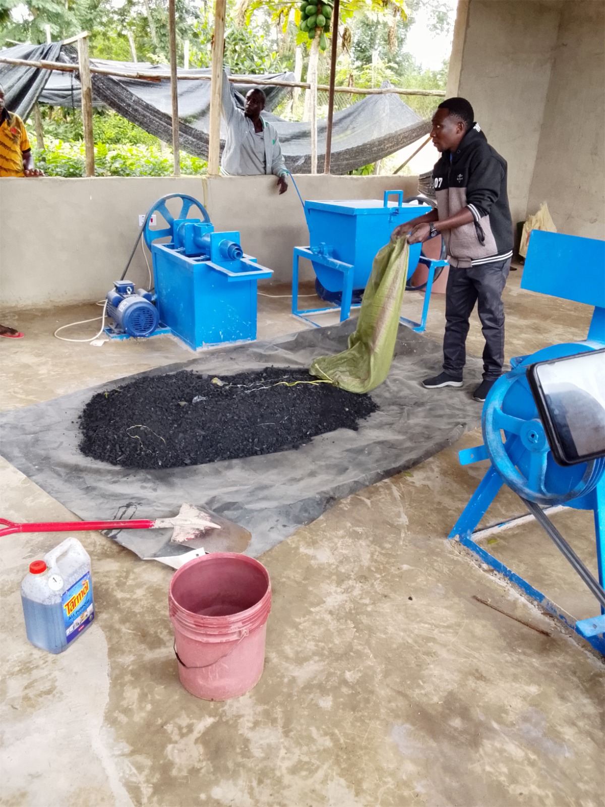 Carbonized organic waste